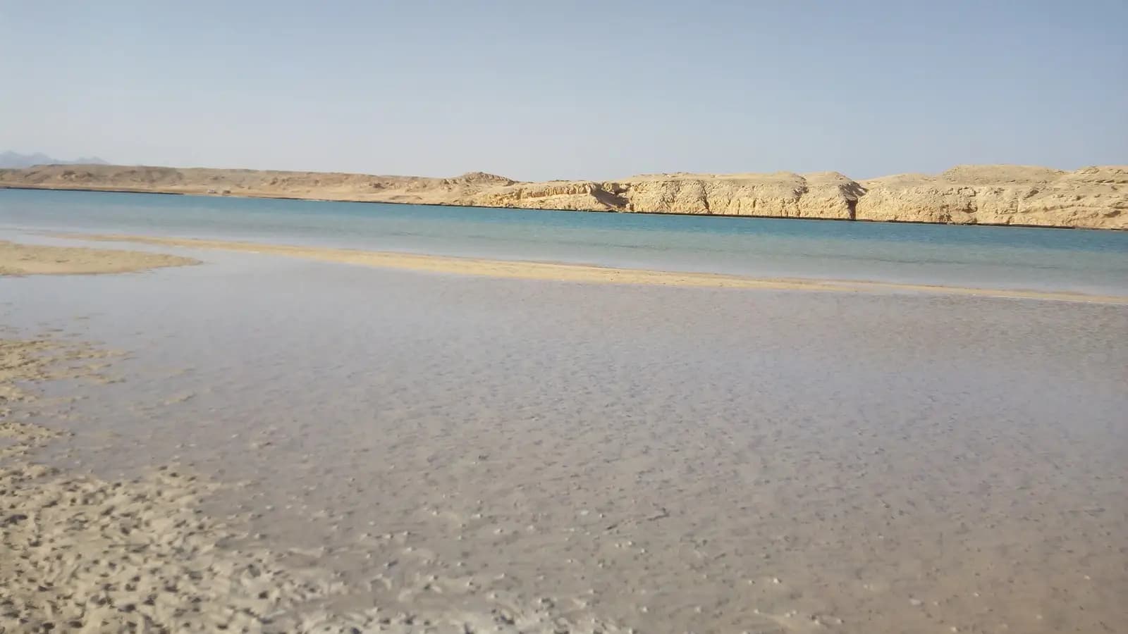 Bahía de Ras Mohammed: snorkel con tortugas y corales a 12 km de Sharm el Sheij