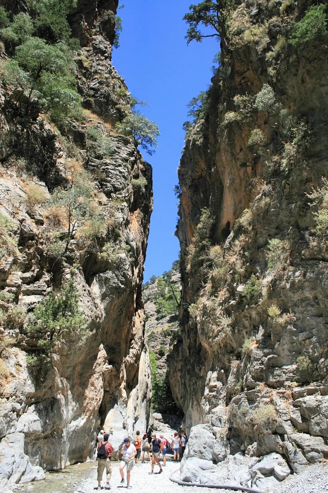 Cañón de Samaria: 16 km de garganta más profunda de Creta con salida directa al mar
