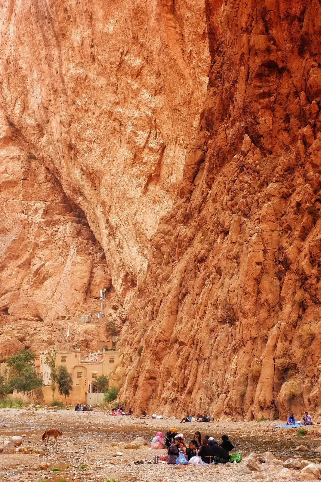Cañón de Todra: paredes de 160 metros y el estrechamiento real que pocos esperan