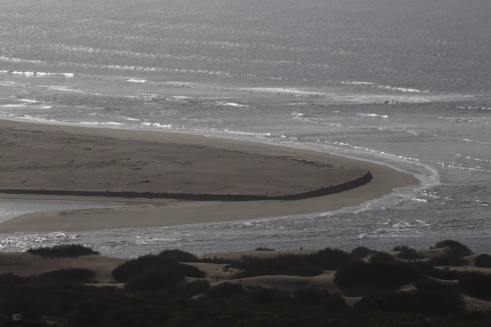 Parque Nacional de Souss-Massa: la última colonia de ibis eremita y playas salvajes a 40 minutos de Agadir