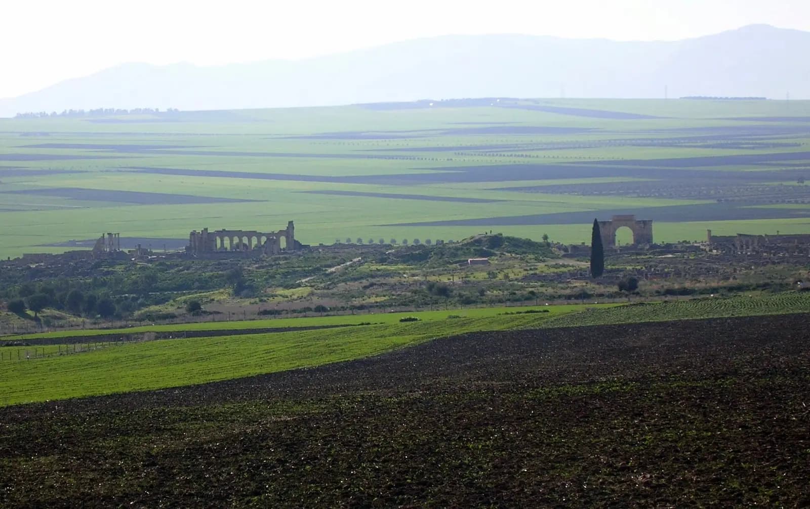 Yacimiento de Volubilis: ruinas romanas mejor conservadas de Marruecos a 27 km de Meknes